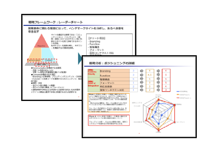 OZS Competitive Web Analysis